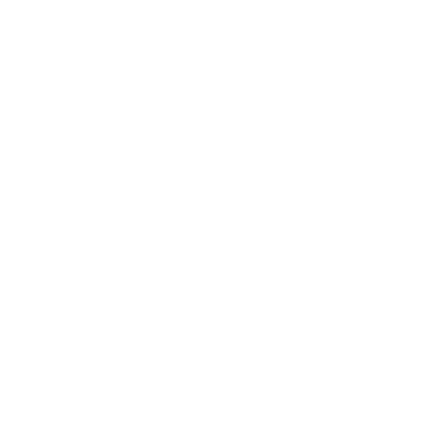 marine-megafauna-stiftung-1 Rundes Logo mit stilisierten Silhouetten eines Mantarochen, eines Delfins und einer Meeresschildkröte über dem Text „MARINE MEGAFAUNA FOUNDATION“ in fetter Großschrift